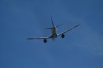 DSC_0763.JPG